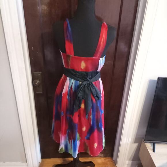 The Limited Empire Waist Dress Watercolor Tie Dye Red Poppy Floral Chiffon Sz 4 - Picture 5 of 11